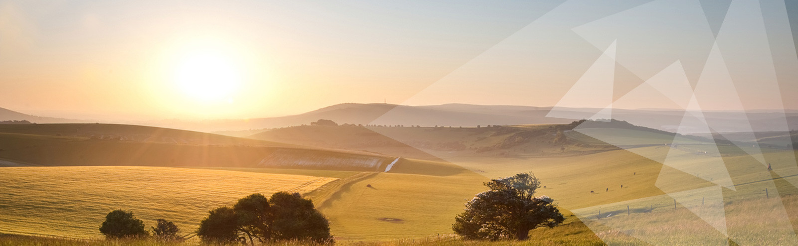 bg-header-01
