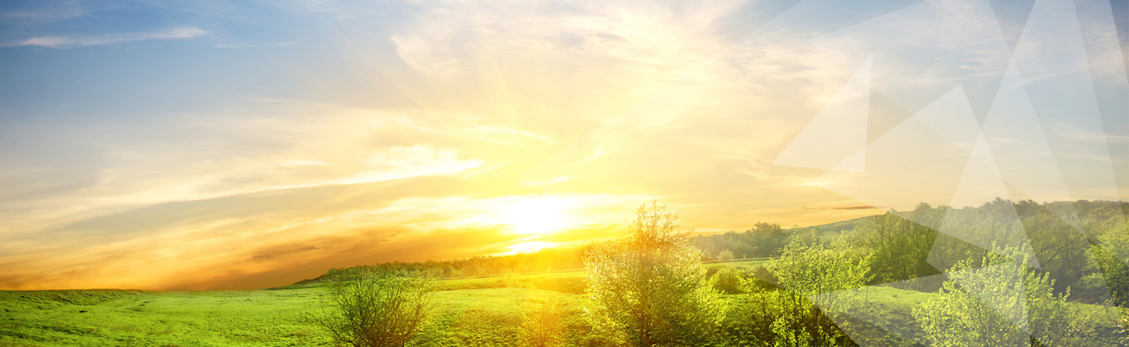 bg-header-04