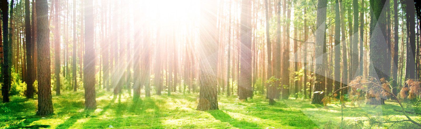 bg-header-06