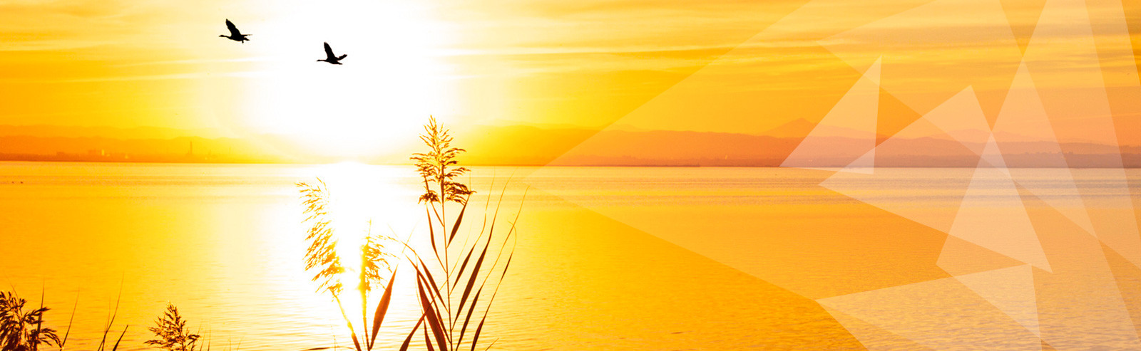 bg-header-07